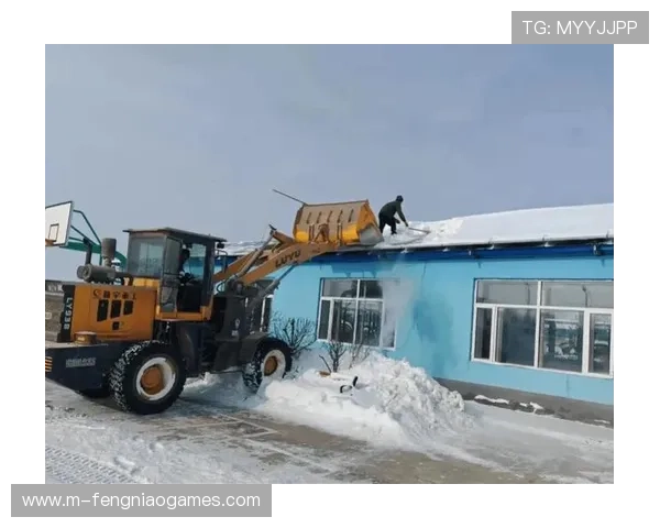 球场屋顶积雪清除,坠落风险安全评估完成 球场屋顶积雪清除,坠落风险安全评估完成